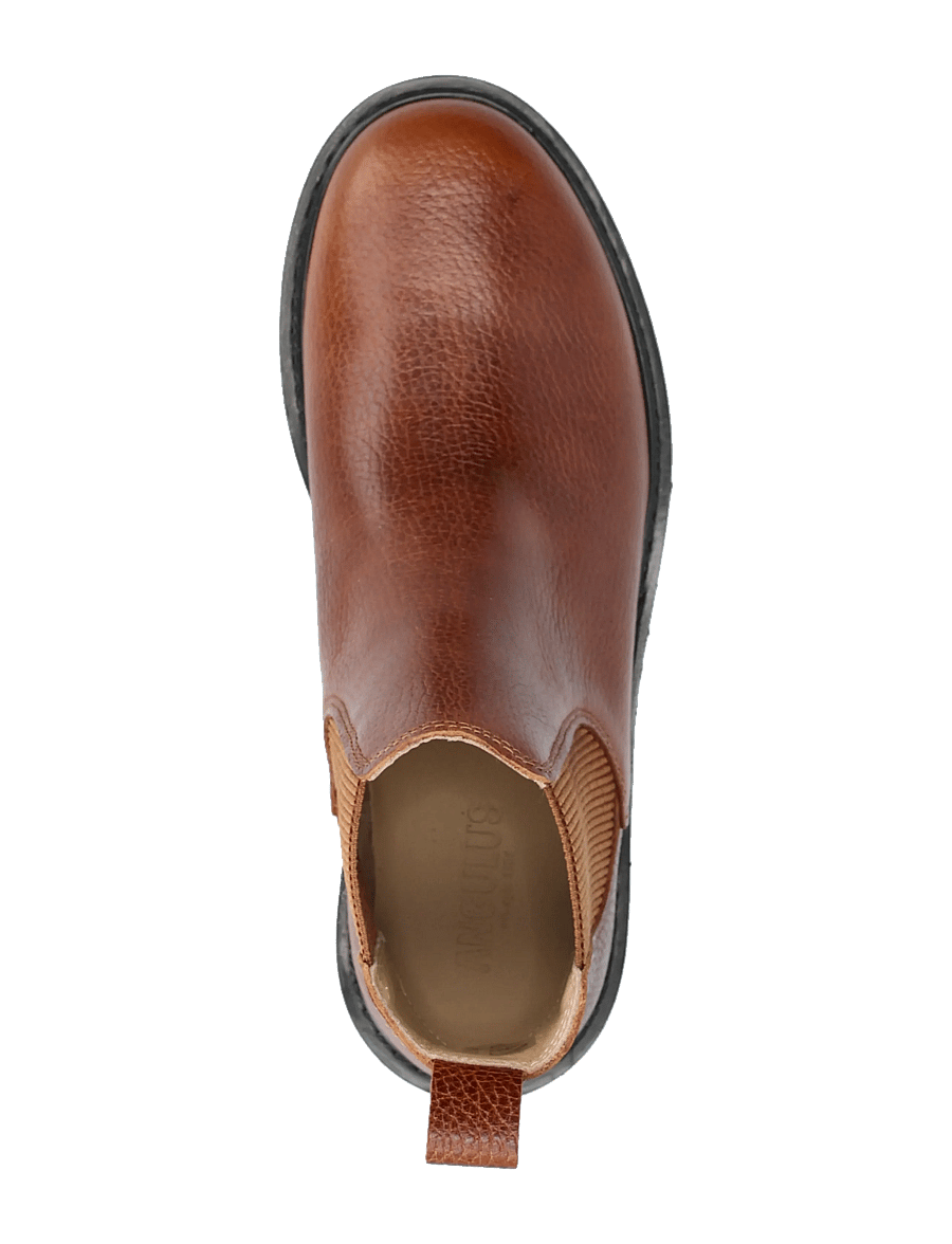 ANGULUS - Booties - flat - with elastic - madalad poolsaapad - 2509/040 medium brown/ cognac - 3