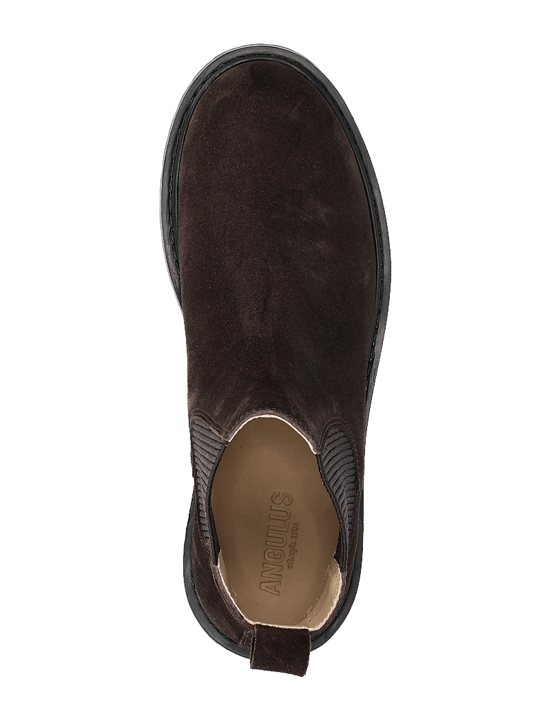 ANGULUS - Booties - flat - with elastic - stiefel - 2193/046 brown/brown - 3