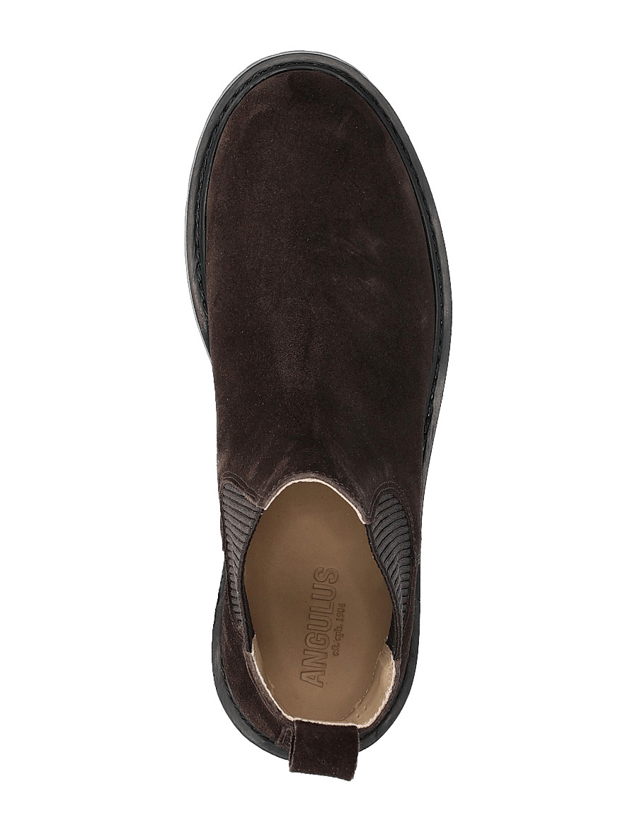 ANGULUS - Booties - flat - with elastic - boots - 2193/046 brown/brown - 3