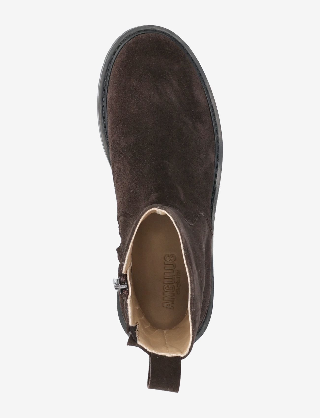 ANGULUS - Boots - flat - 2193 dark brown - 3