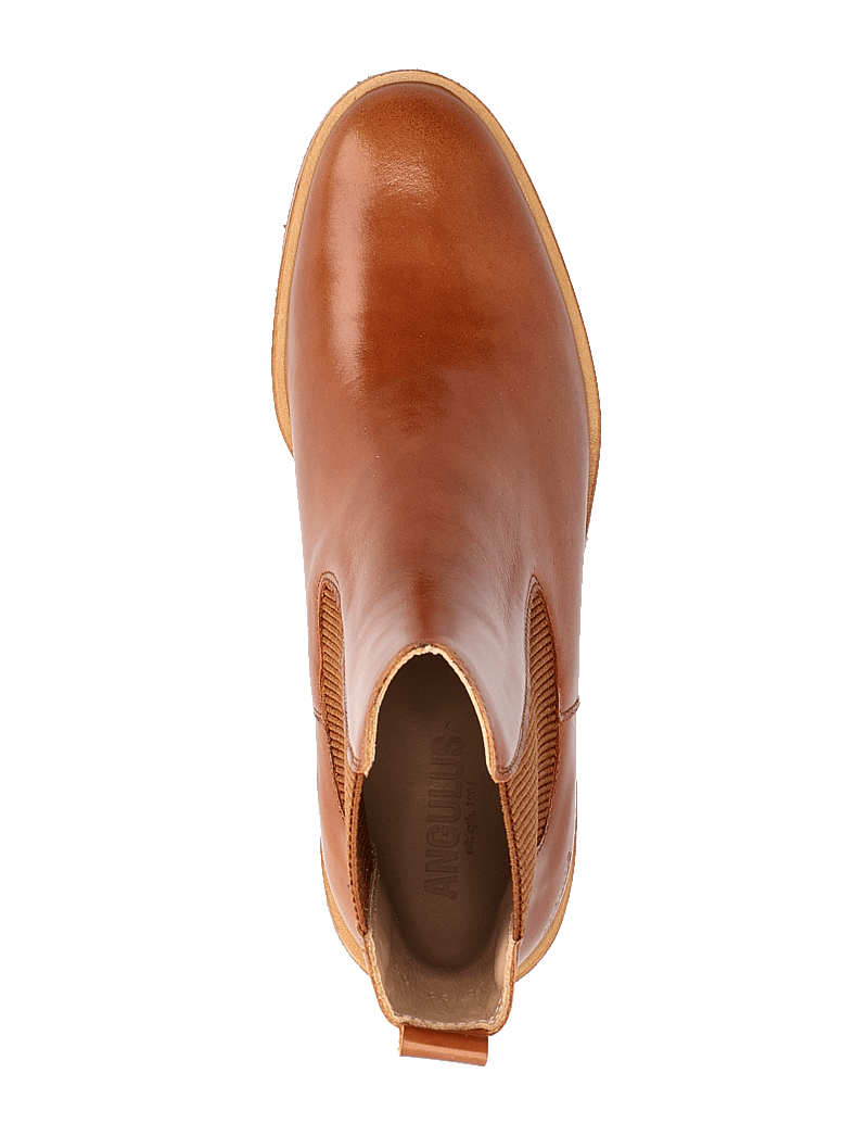 ANGULUS - Bootie - block heel - with zippe - stiefeletten mit absatz - 1838/040 cognac/brown - 3