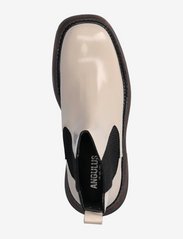 ANGULUS - Boots - flat - chelsea boots - 1402/019 beige/black - 3
