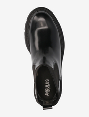 ANGULUS - Boots - flat - flate ankelstøvletter - 1425/053 black/black - 3