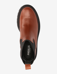 ANGULUS - Boots - flat - puszābaki bez papēža - 1705/019 terracotta/black - 3