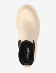 ANGULUS - Boots - flat - flat ankle boots - 1502/053 buttermilk/black - 3