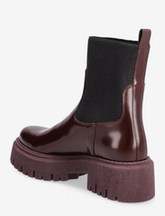 ANGULUS - Boots - flat - flat ankle boots - 1422/053 amerone/black - 2