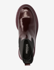 ANGULUS - Boots - flat - flat ankle boots - 1422/053 amerone/black - 3