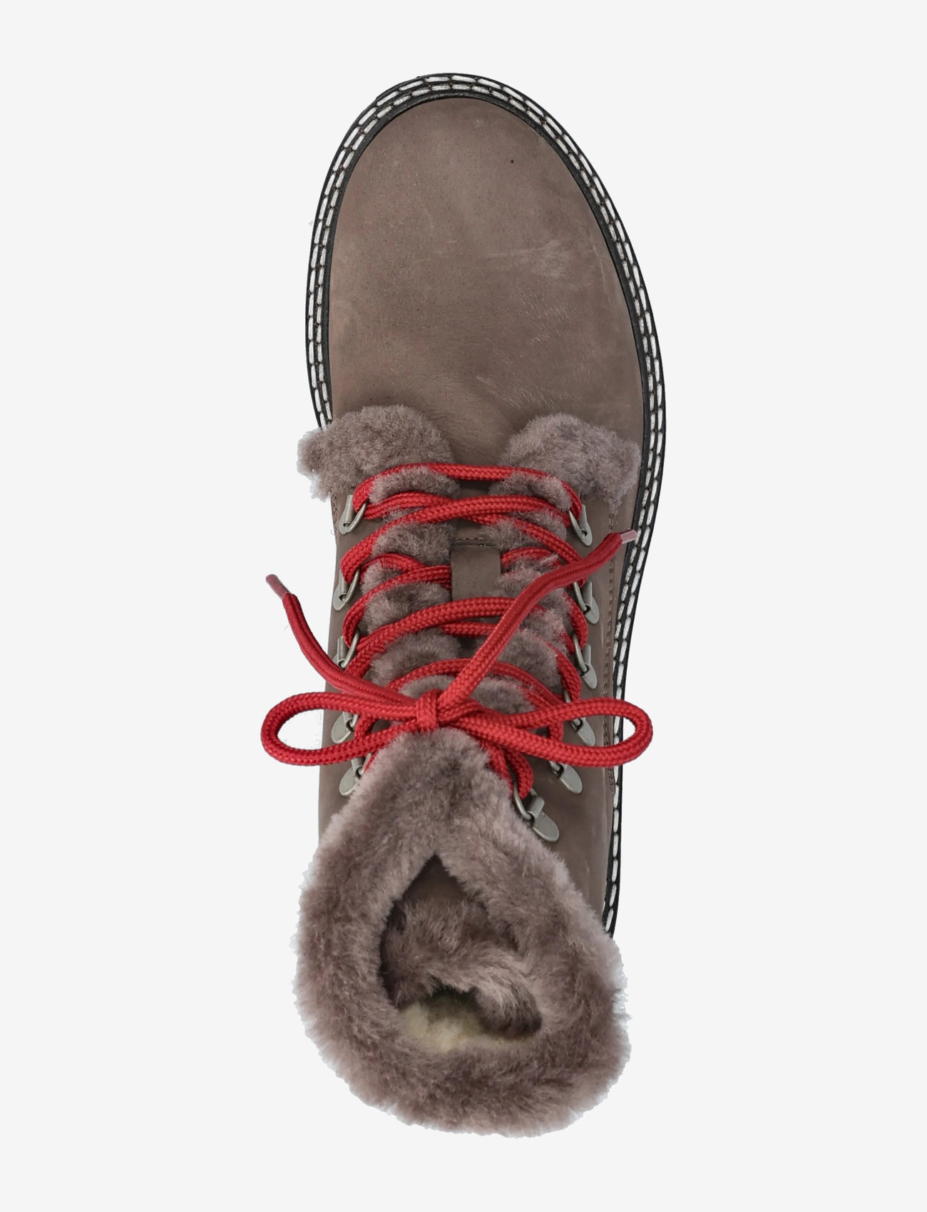 ANGULUS - Boots - flat - with laces - flade ankelstøvler - 2996/3484 taupe/taupe - 3