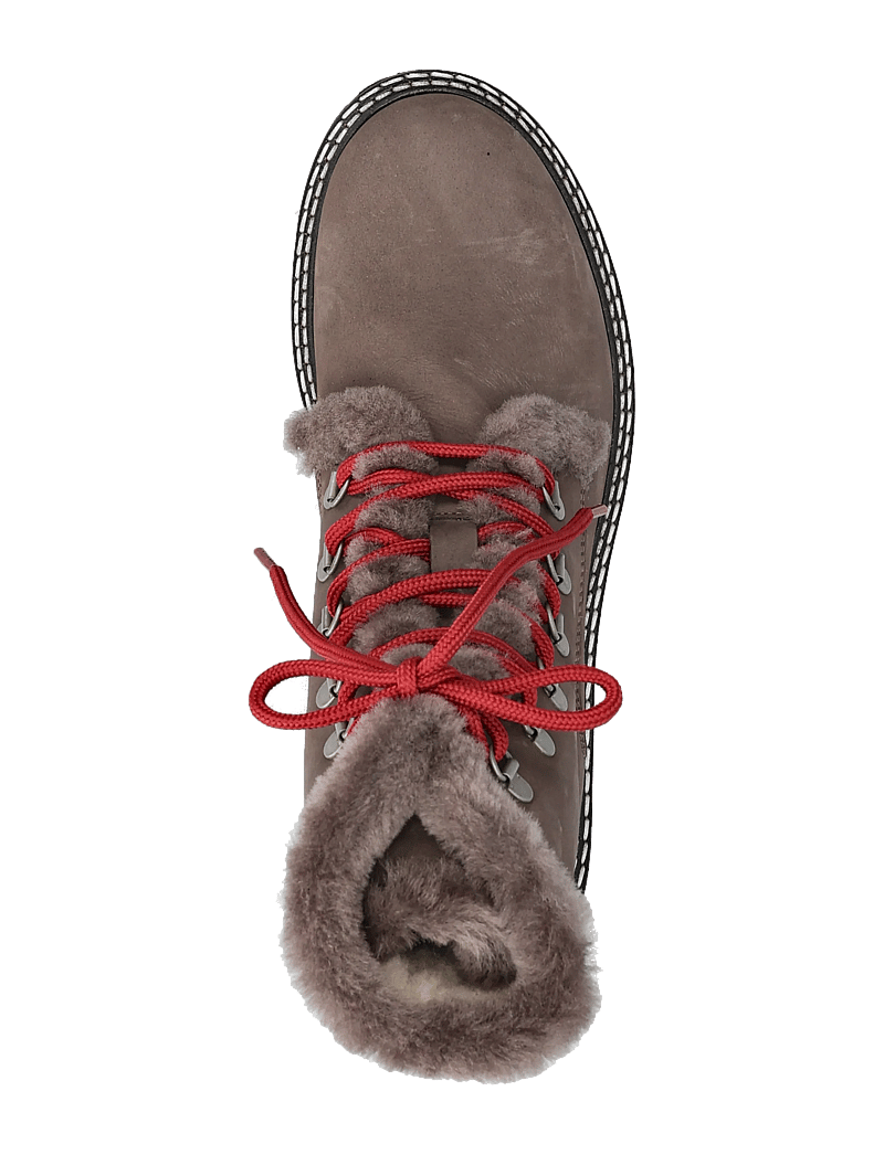 ANGULUS - Boots - flat - with laces - platta ankelboots - 2996/3484 taupe/taupe - 3