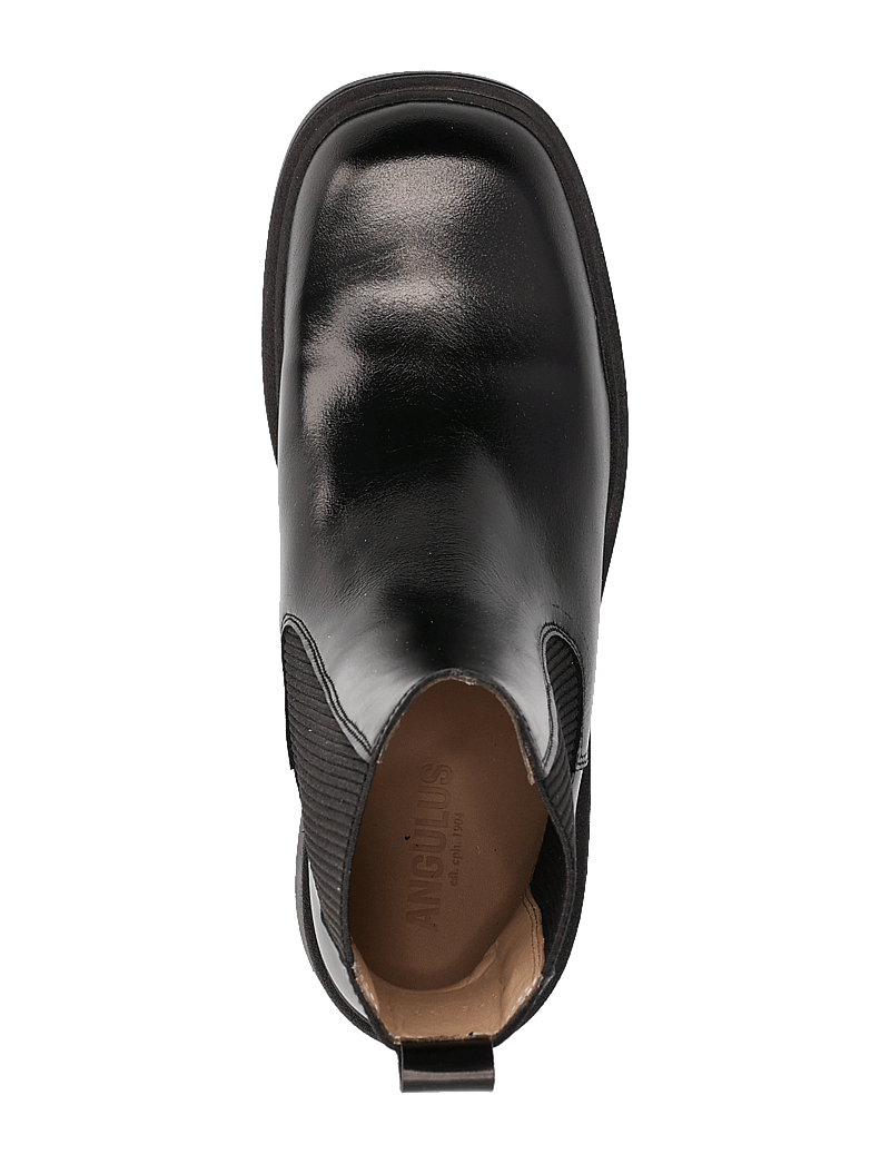 ANGULUS - Booties - flat - with elastic - platta ankelboots - 1835/019 black /black - 4