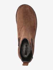ANGULUS - Boots - flat - „chelsea“ stiliaus aulinukai - 1718/002 brown/brown - 3