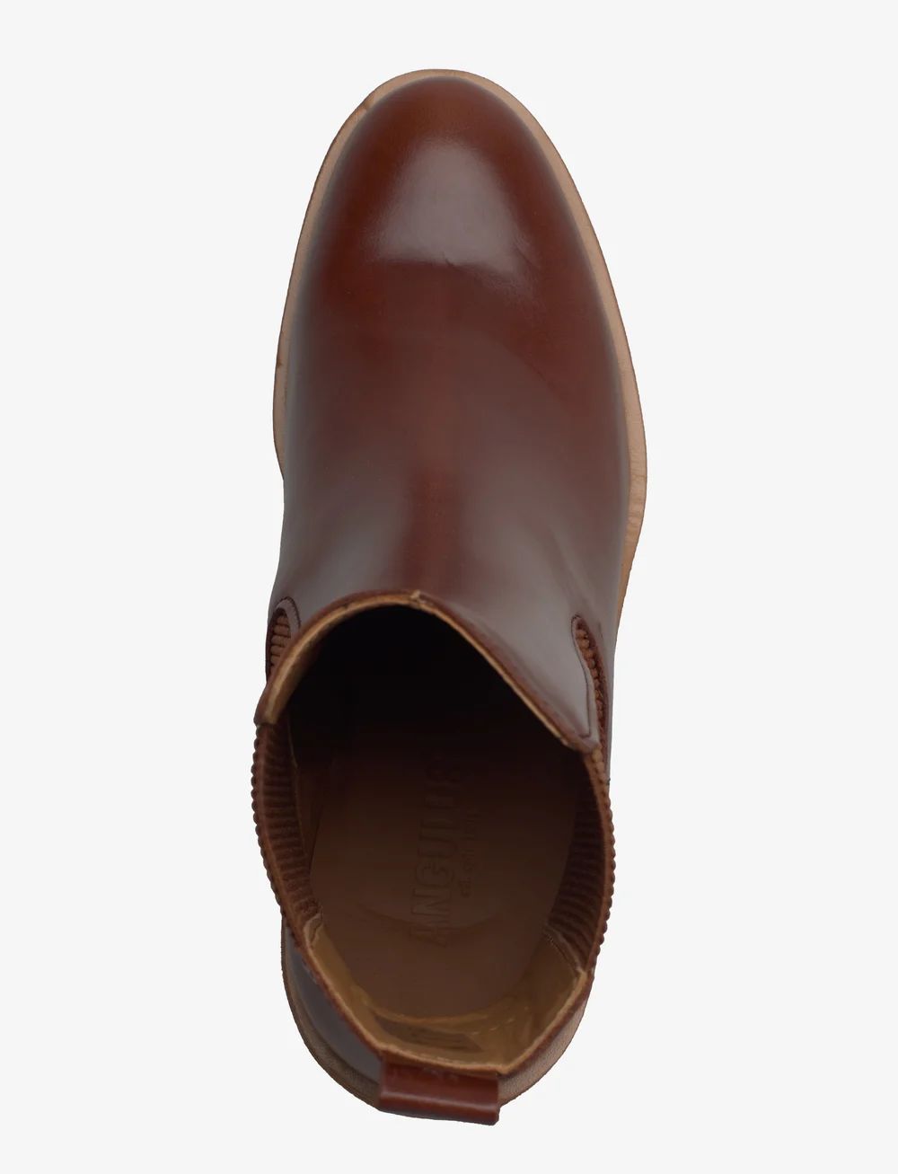 ANGULUS - Booties - flat - with elastic - støvletter - 1837/040 brown/ brown - 3