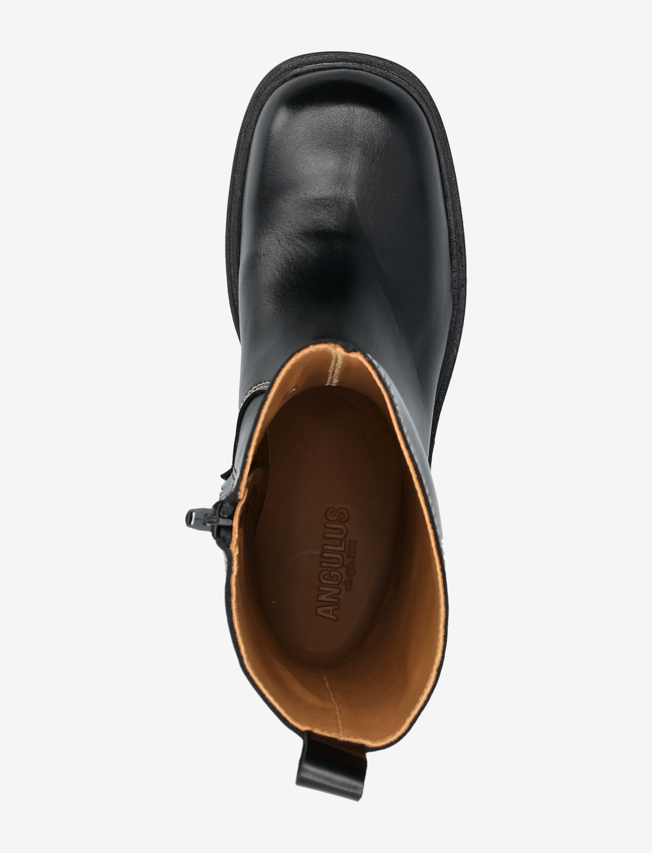 ANGULUS - Booties - flat - with elastic - flache stiefeletten - 1835 black - 3