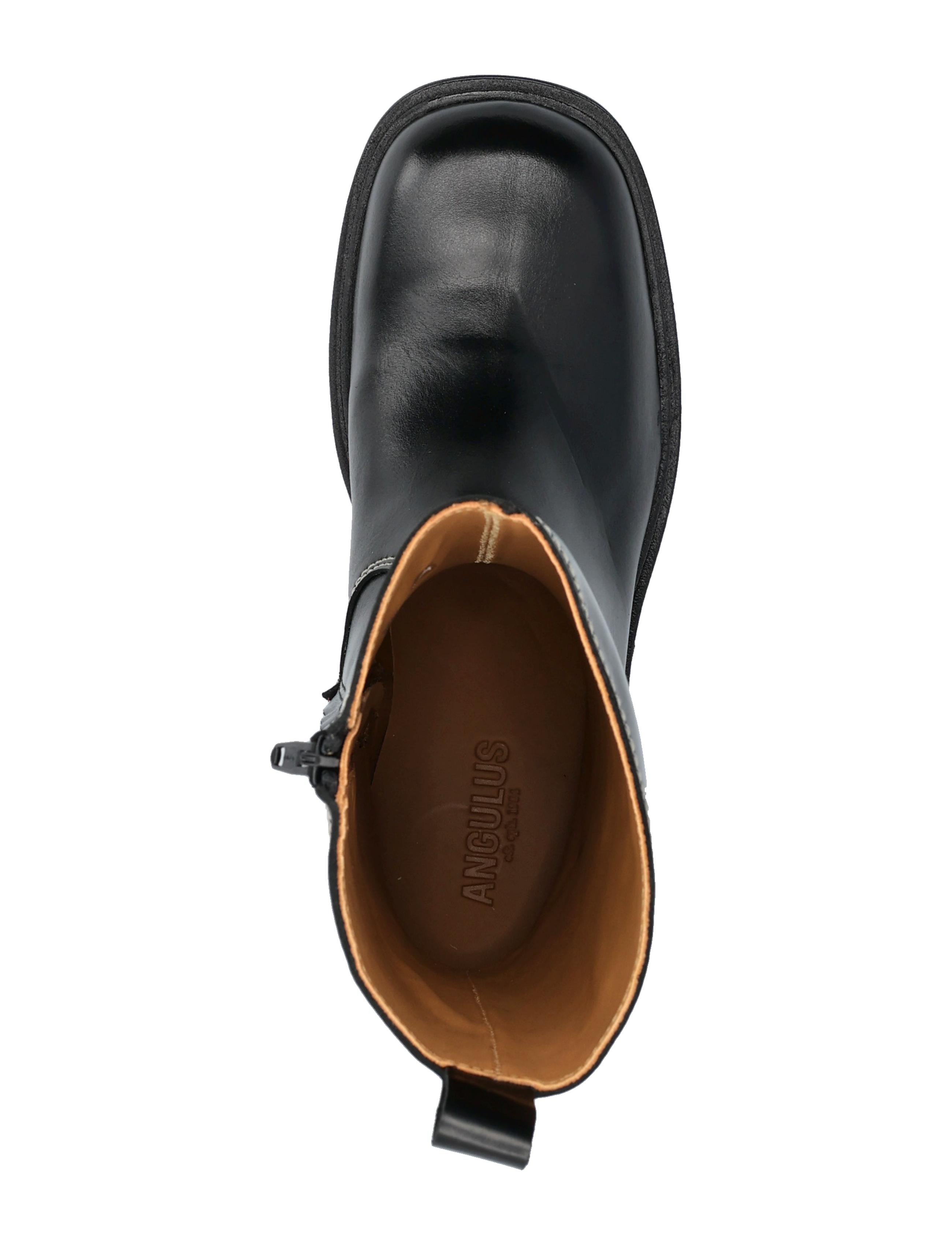 ANGULUS - Booties - flat - with zipper - flache stiefeletten - 1835 black - 3