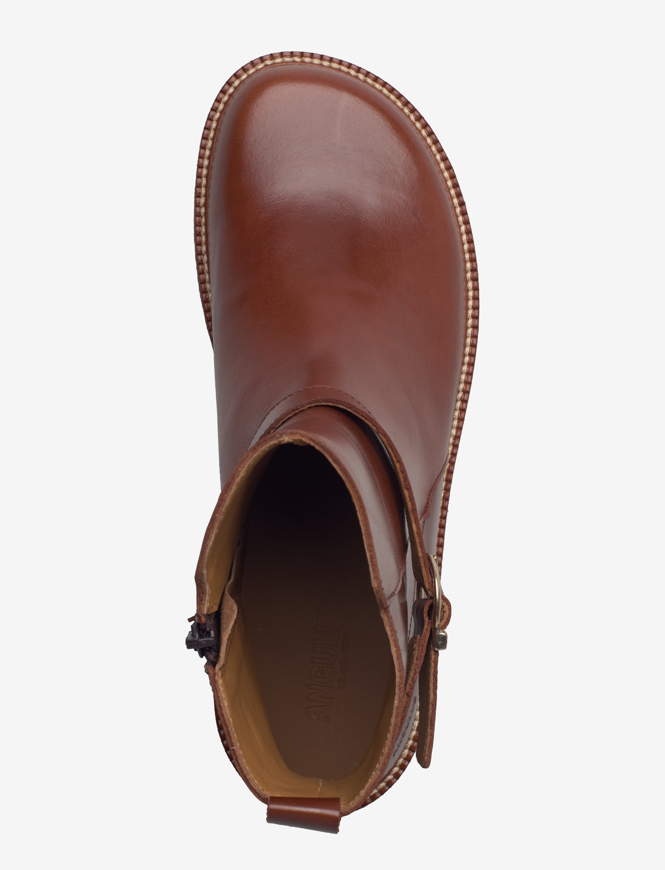 ANGULUS - Booties - flat - flade ankelstøvler - 1837 brown - 3