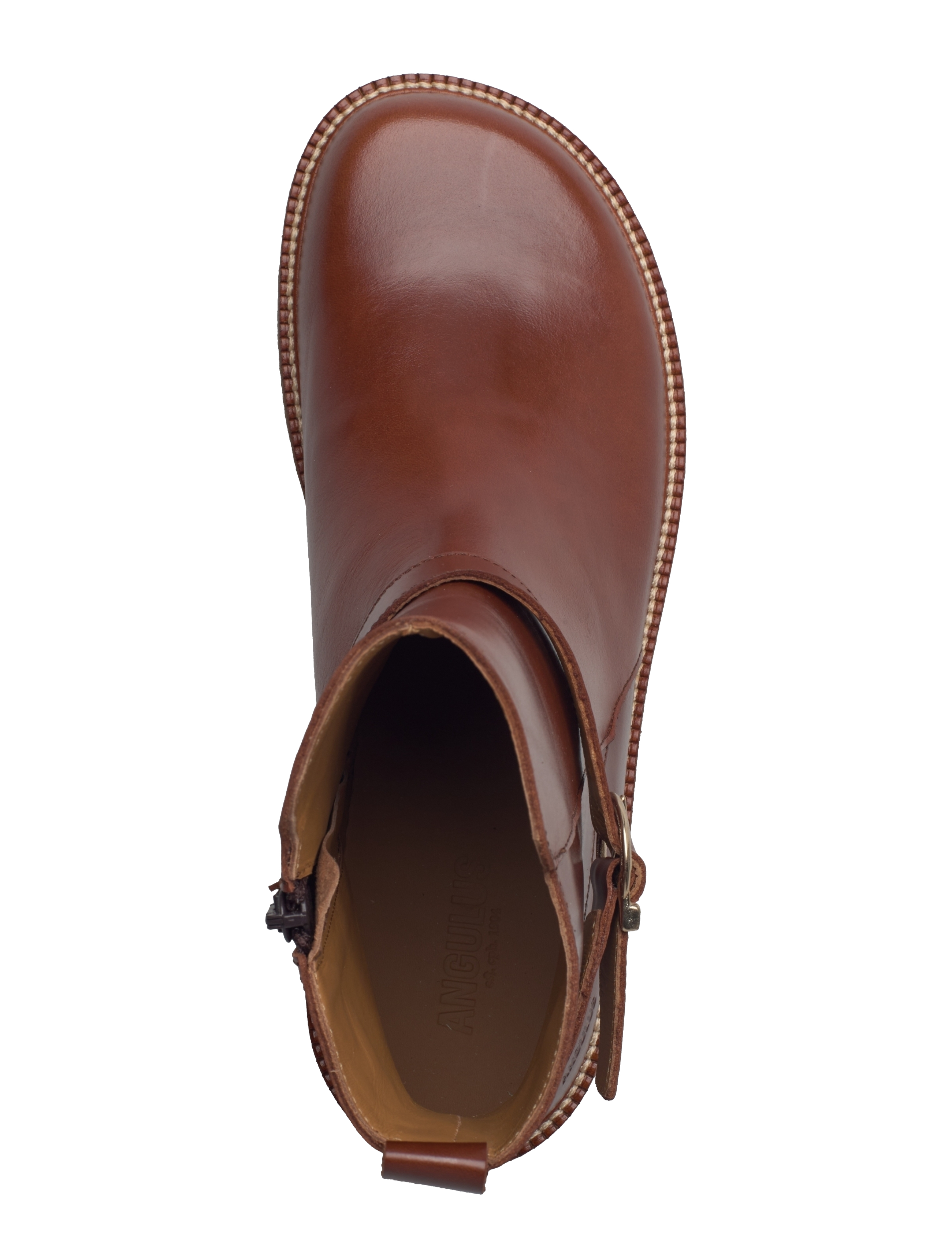 ANGULUS - Booties - flat - flat ankle boots - 1837 brown - 3