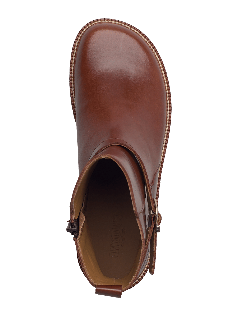 ANGULUS - Booties - flat - flat ankle boots - 1837 brown - 3
