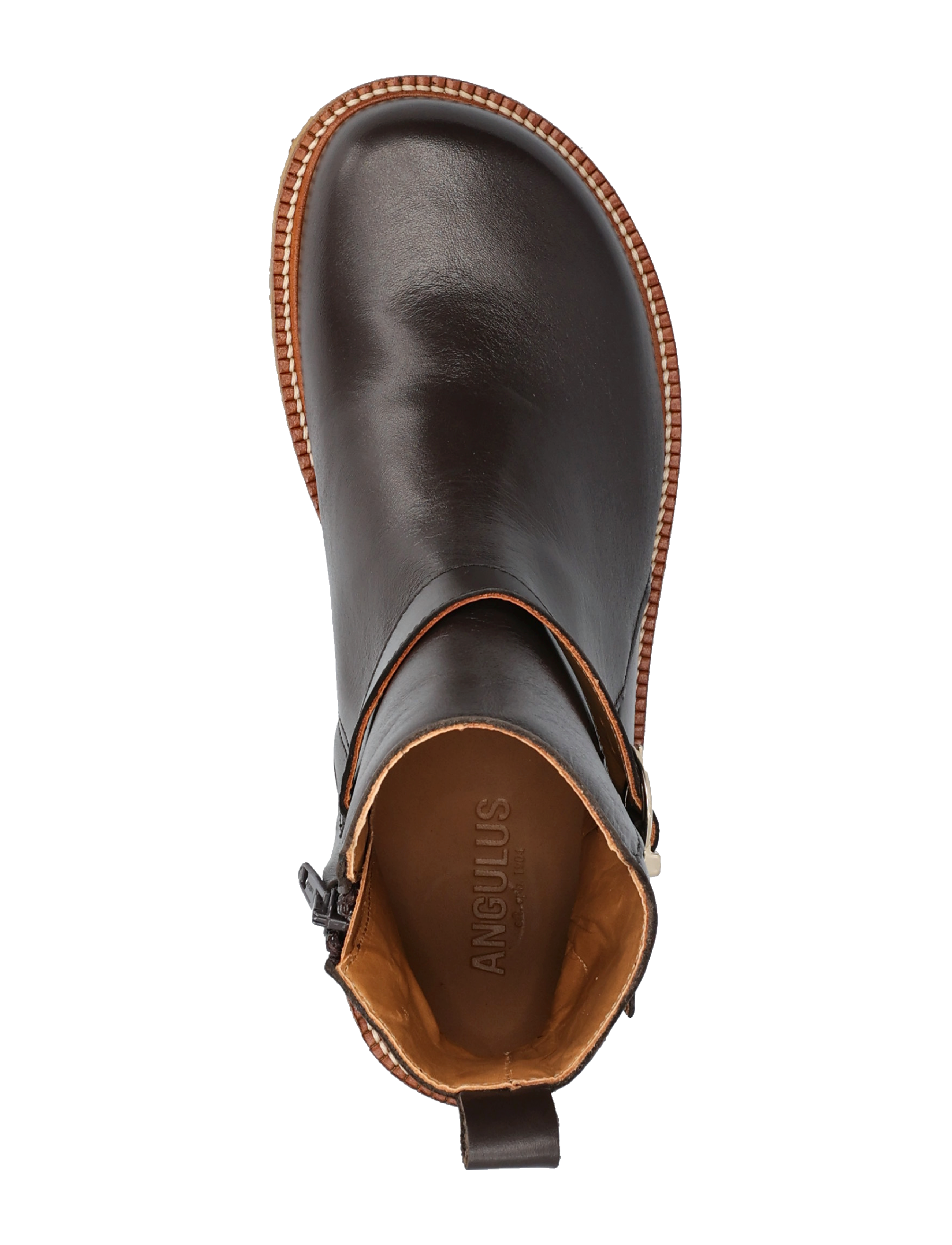 ANGULUS - Booties - flat - flade ankelstøvler - 2962 brown - 3