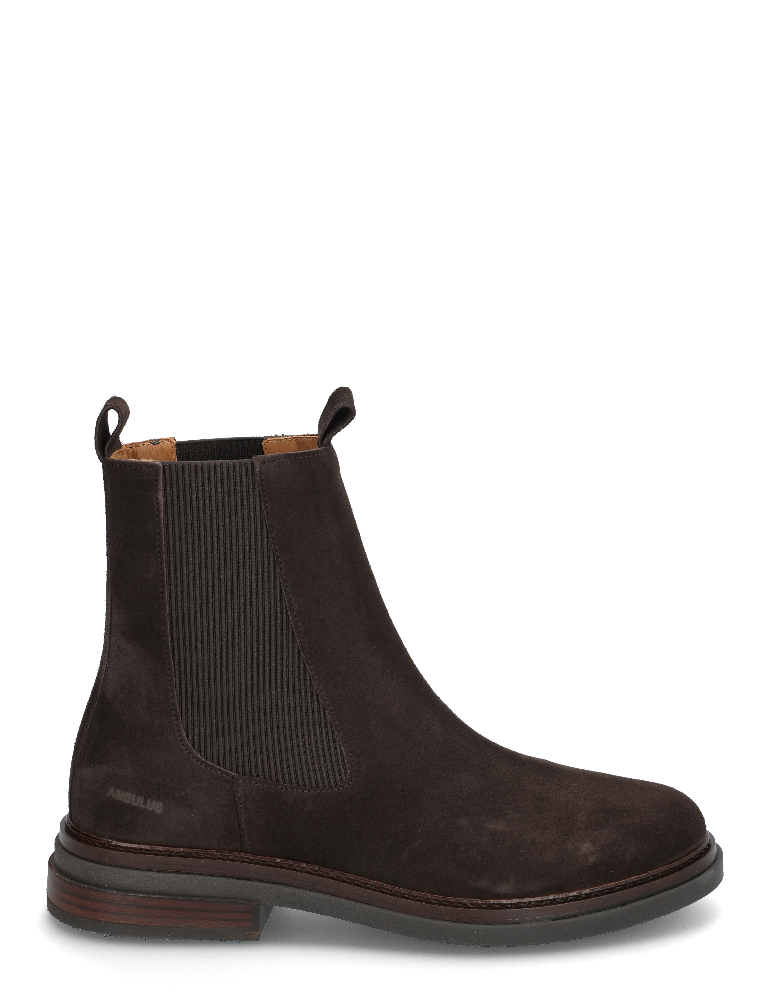 ANGULUS - Booties - flat - with elastic - flatbotna ökklastígvél - 2193/046 brown/brown - 1