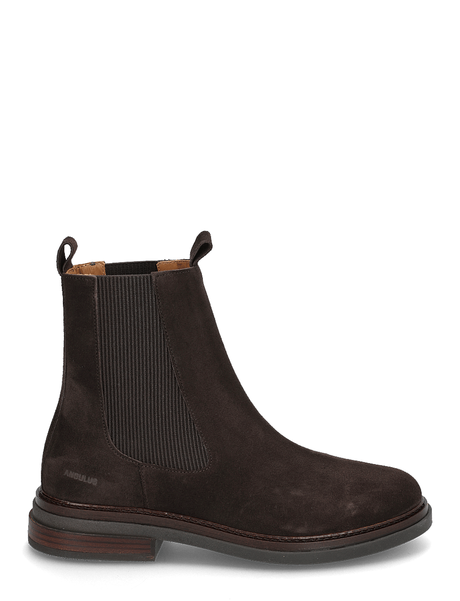 ANGULUS - Booties - flat - with elastic - flatbotna ökklastígvél - 2193/046 brown/brown - 1