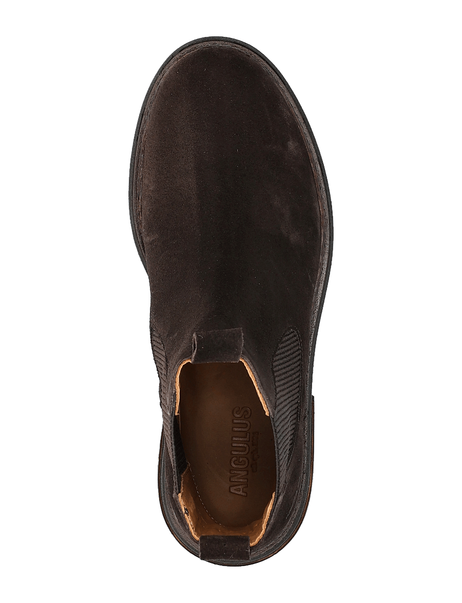 ANGULUS - Booties - flat - with elastic - flatbotna ökklastígvél - 2193/046 brown/brown - 3