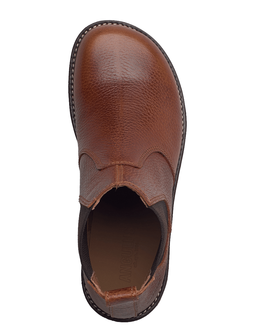 ANGULUS - Booties - flat - with elastic - bottines plates - 2509/002 medium brown - 3
