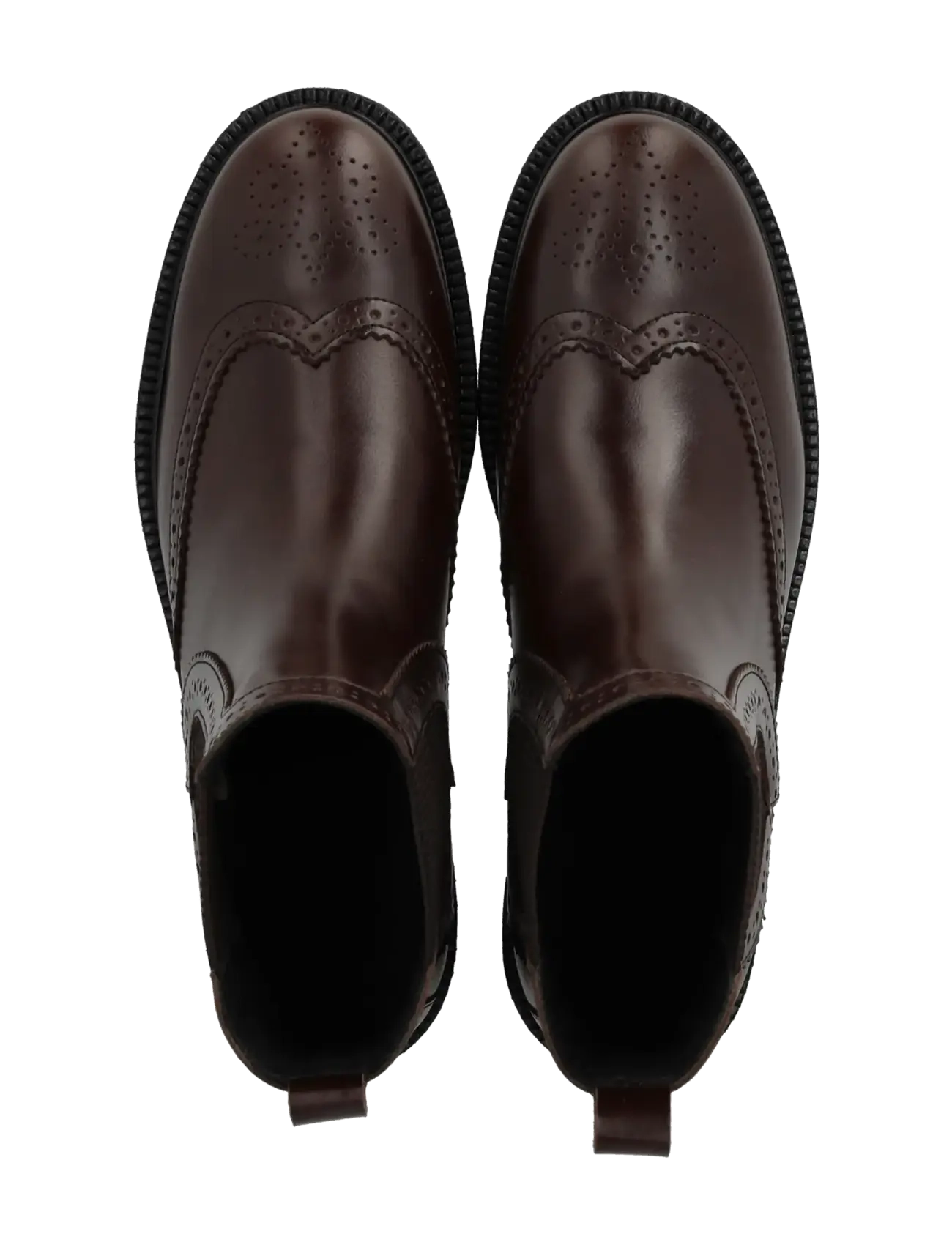 ANGULUS - Booties - flat - with elastic - flache stiefeletten - 1836/046 dark brown/d. brown - 3