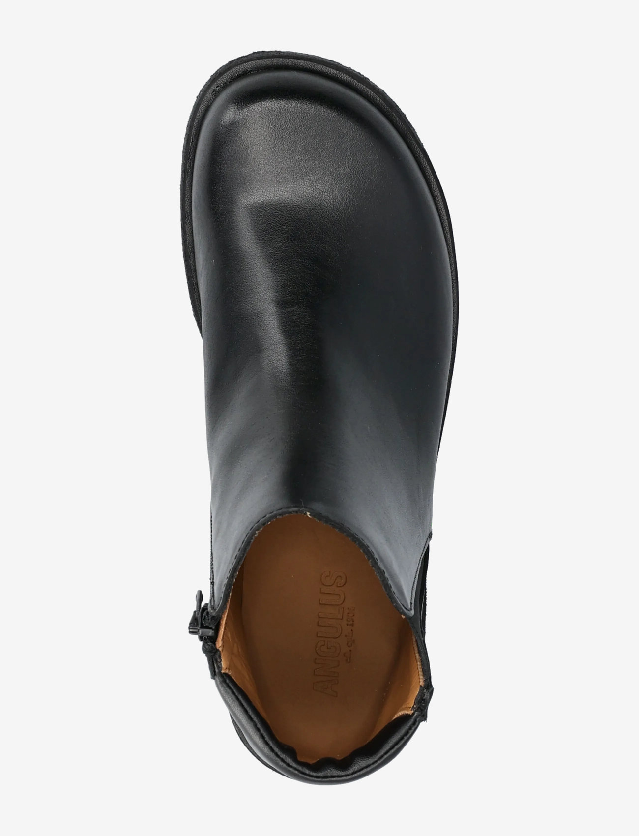 ANGULUS - Booties - flat - with elastic - flache stiefeletten - 1604/001 black/black - 3