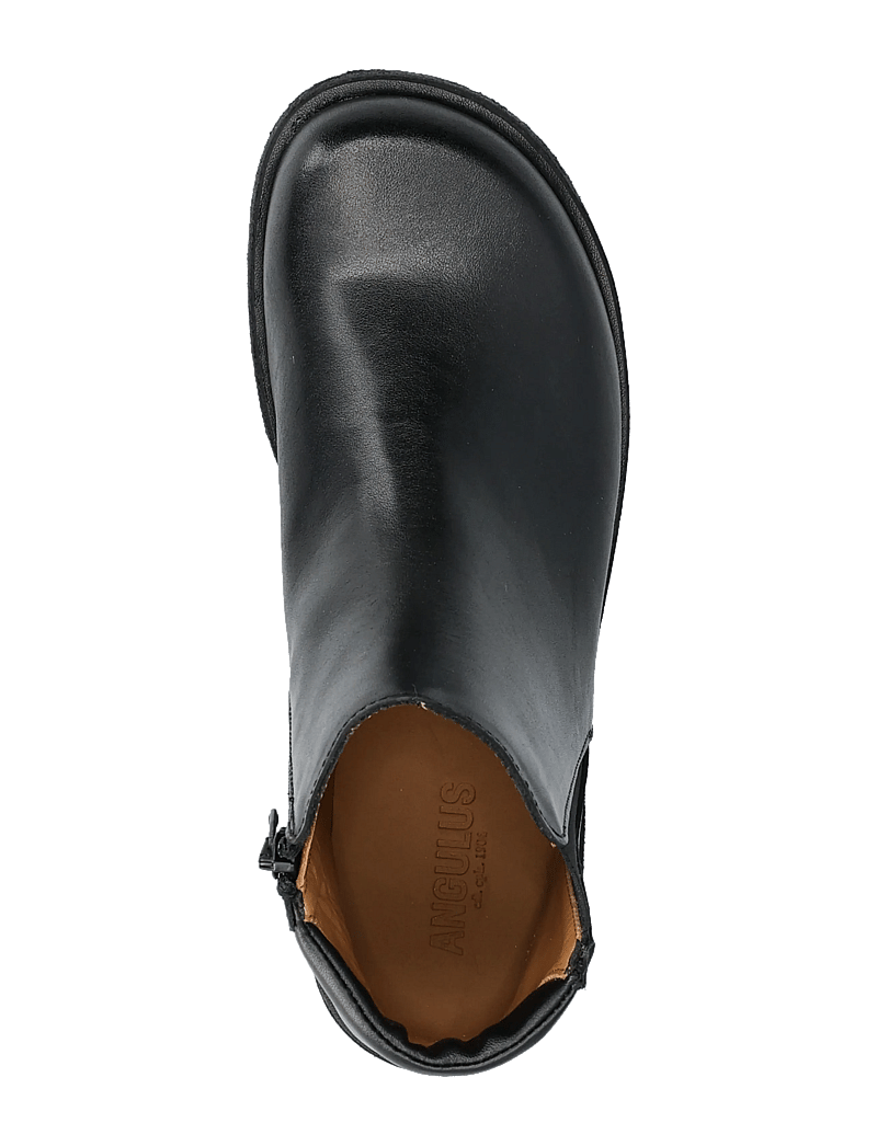 ANGULUS - Booties - flat - with elastic - flache stiefeletten - 1604/001 black/black - 3