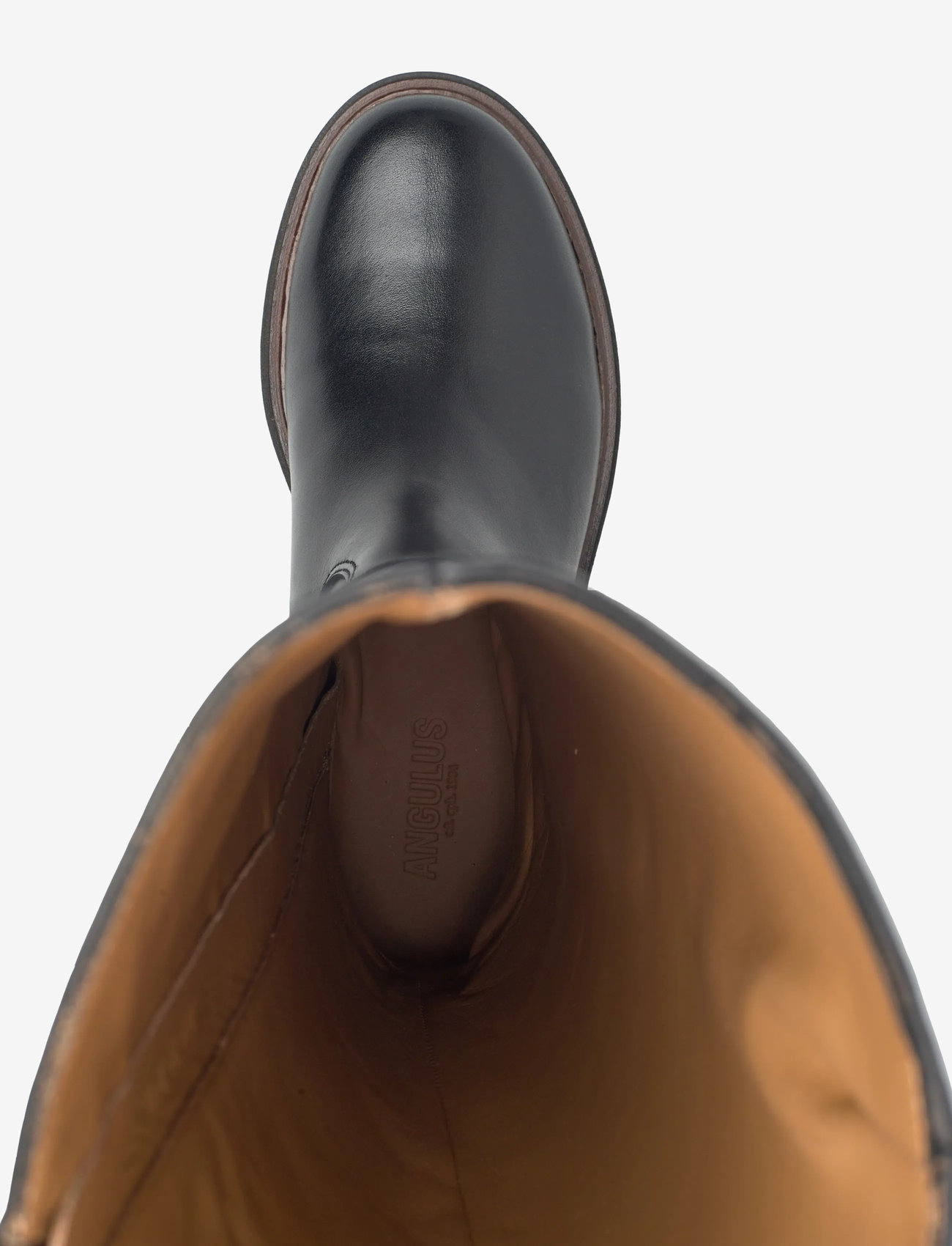 ANGULUS - Booties - flat - with zipper - kvinder - 1604/001 black/black - 3