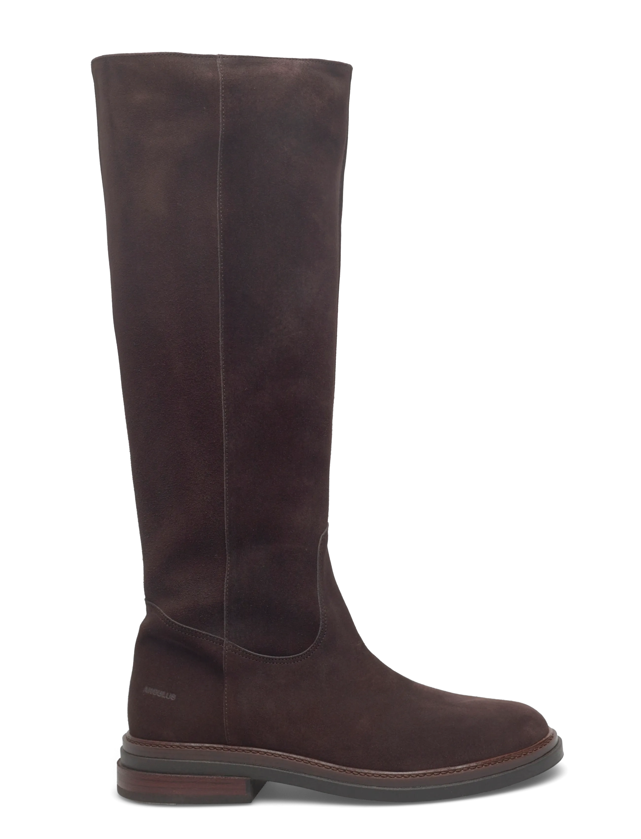 ANGULUS - Booties - flat - with zipper - sko - 2193/002 brown/brown - 1