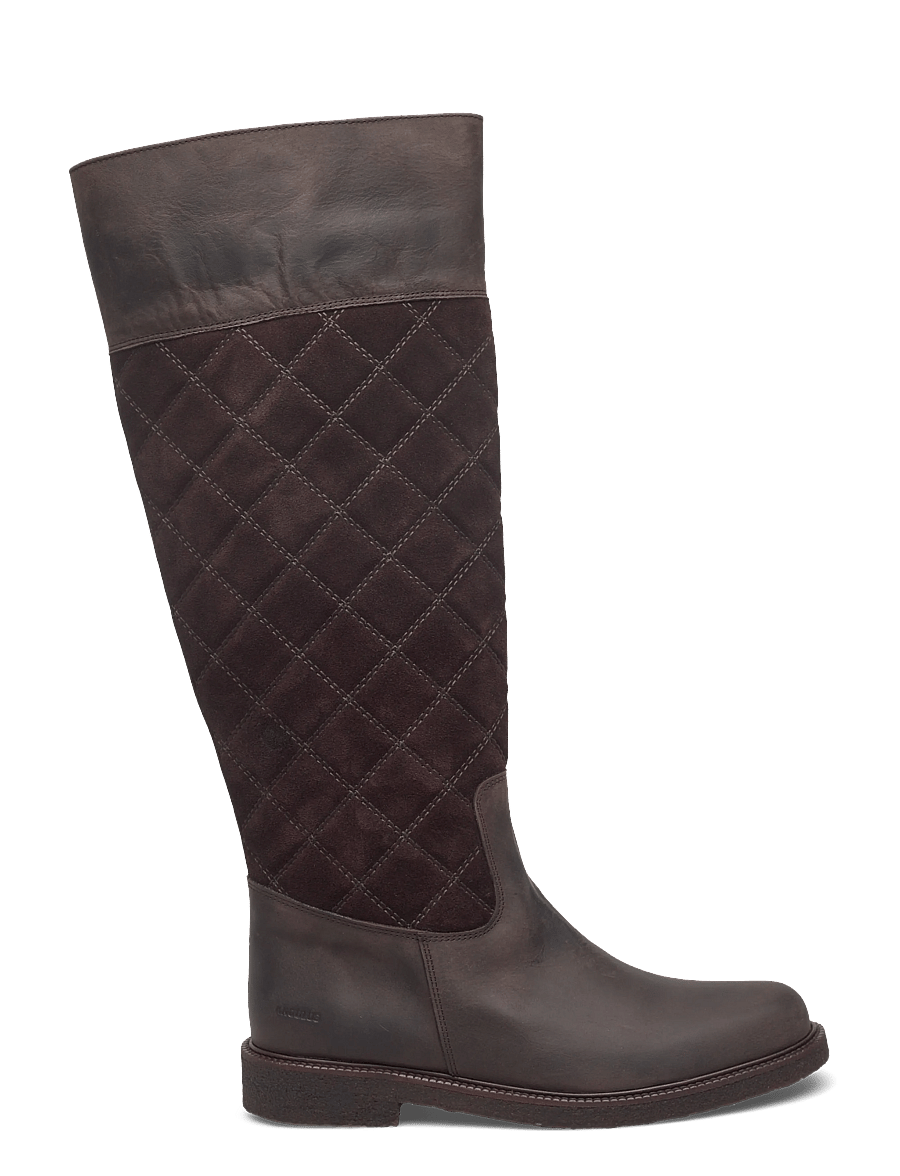 ANGULUS - Booties - flat - há stígvél - 3270/2193 brown/dark brown - 1