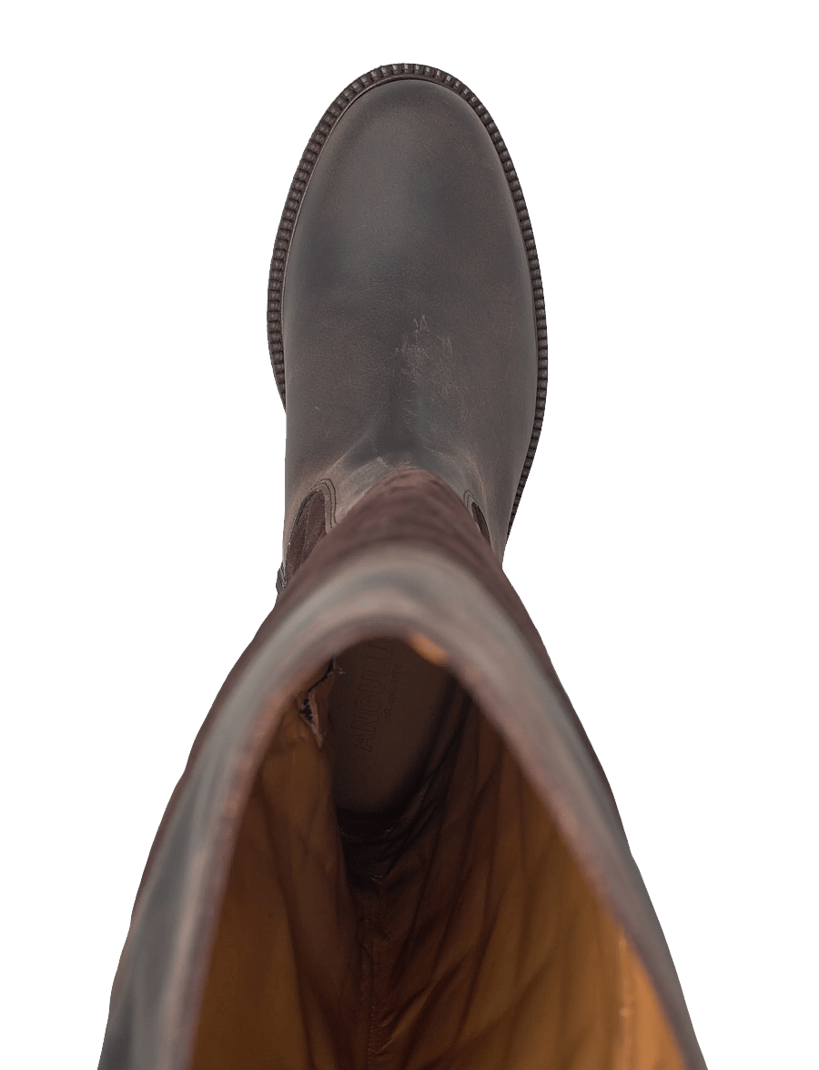 ANGULUS - Booties - flat - há stígvél - 3270/2193 brown/dark brown - 3