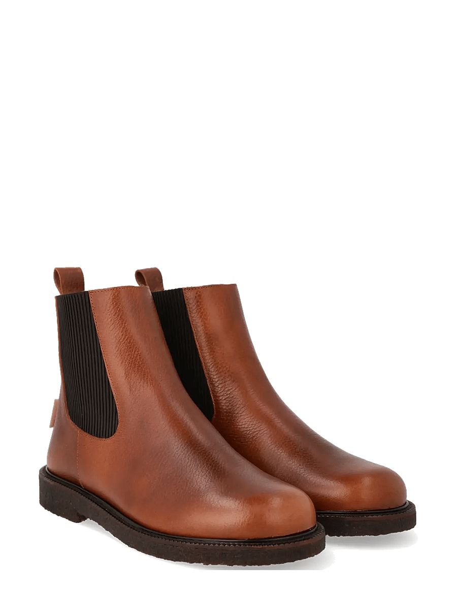 ANGULUS - Booties - flat - with elastic - chelsea boots - 2509/046 cognac/dark brown ela - 0