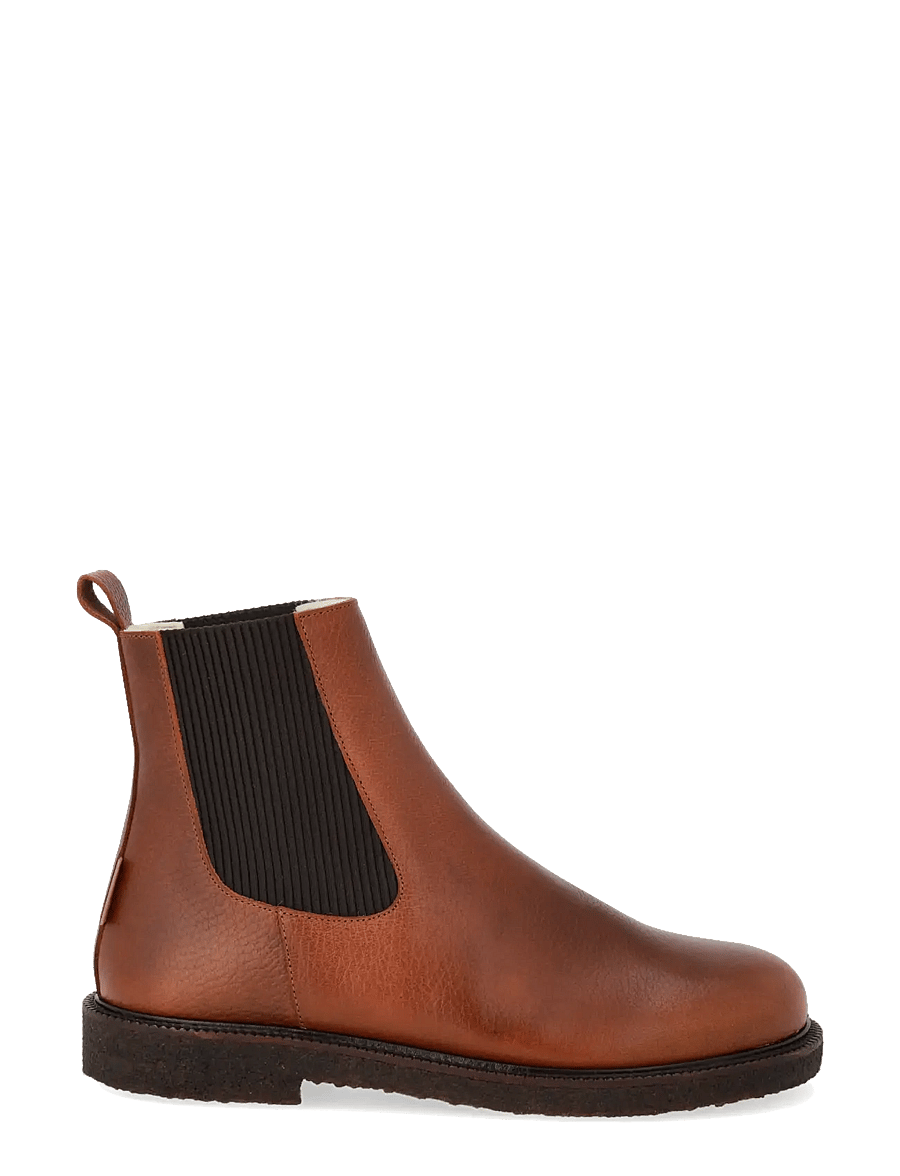 ANGULUS - Booties - flat - with elastic - chelsea boots - 2509/046 cognac/dark brown ela - 1