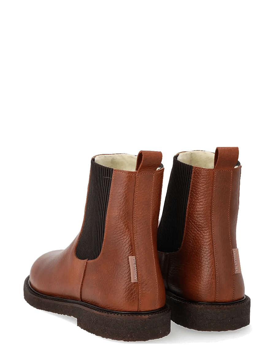 ANGULUS - Booties - flat - with elastic - chelsea boots - 2509/046 cognac/dark brown ela - 2