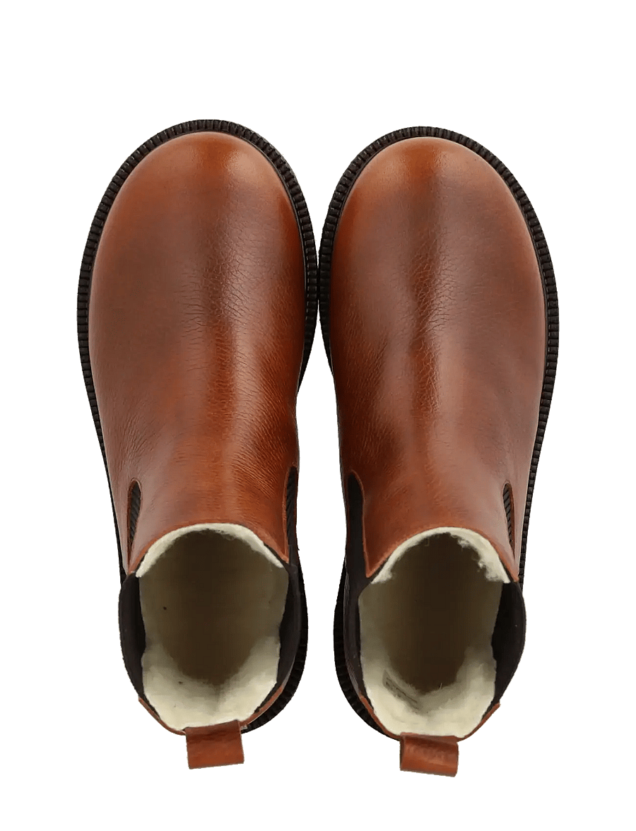 ANGULUS - Booties - flat - with elastic - chelsea boots - 2509/046 cognac/dark brown ela - 3