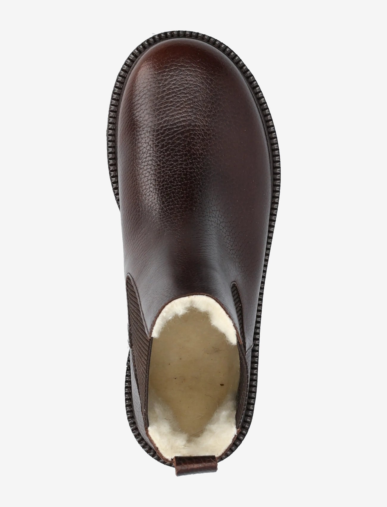 ANGULUS - Booties - flat - with elastic - stiefel - 2505/046 dark brown - 3