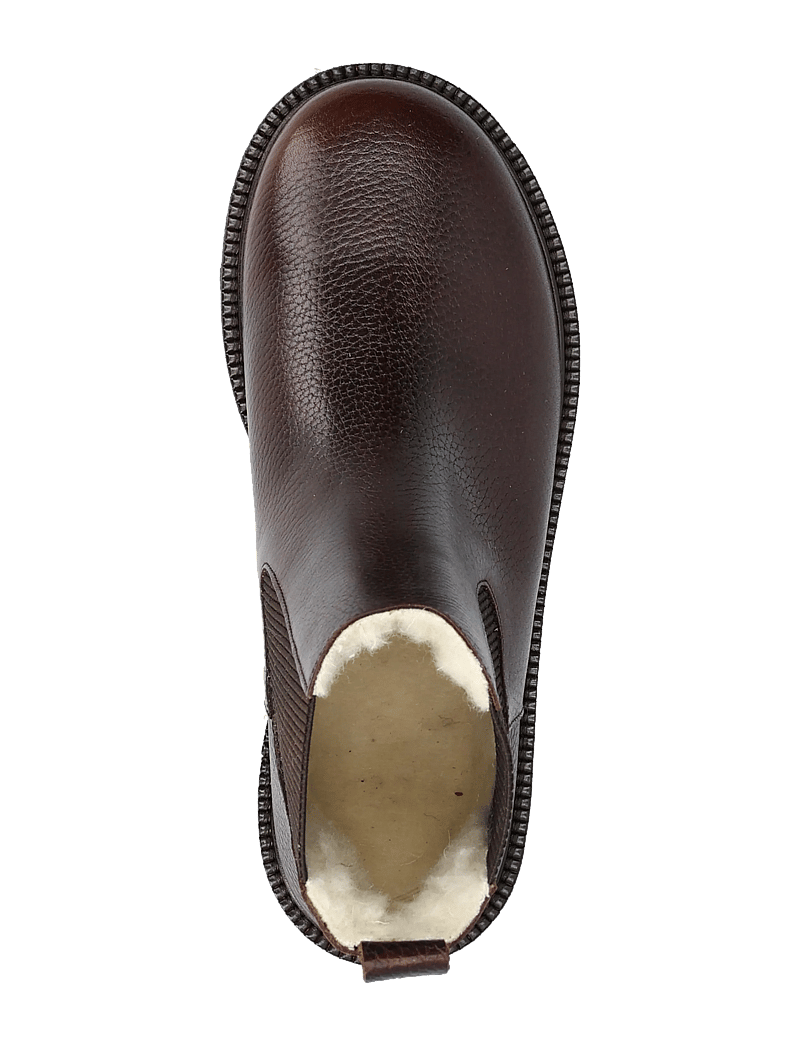 ANGULUS - Booties - flat - with elastic - stövlar - 2505/046 dark brown - 4