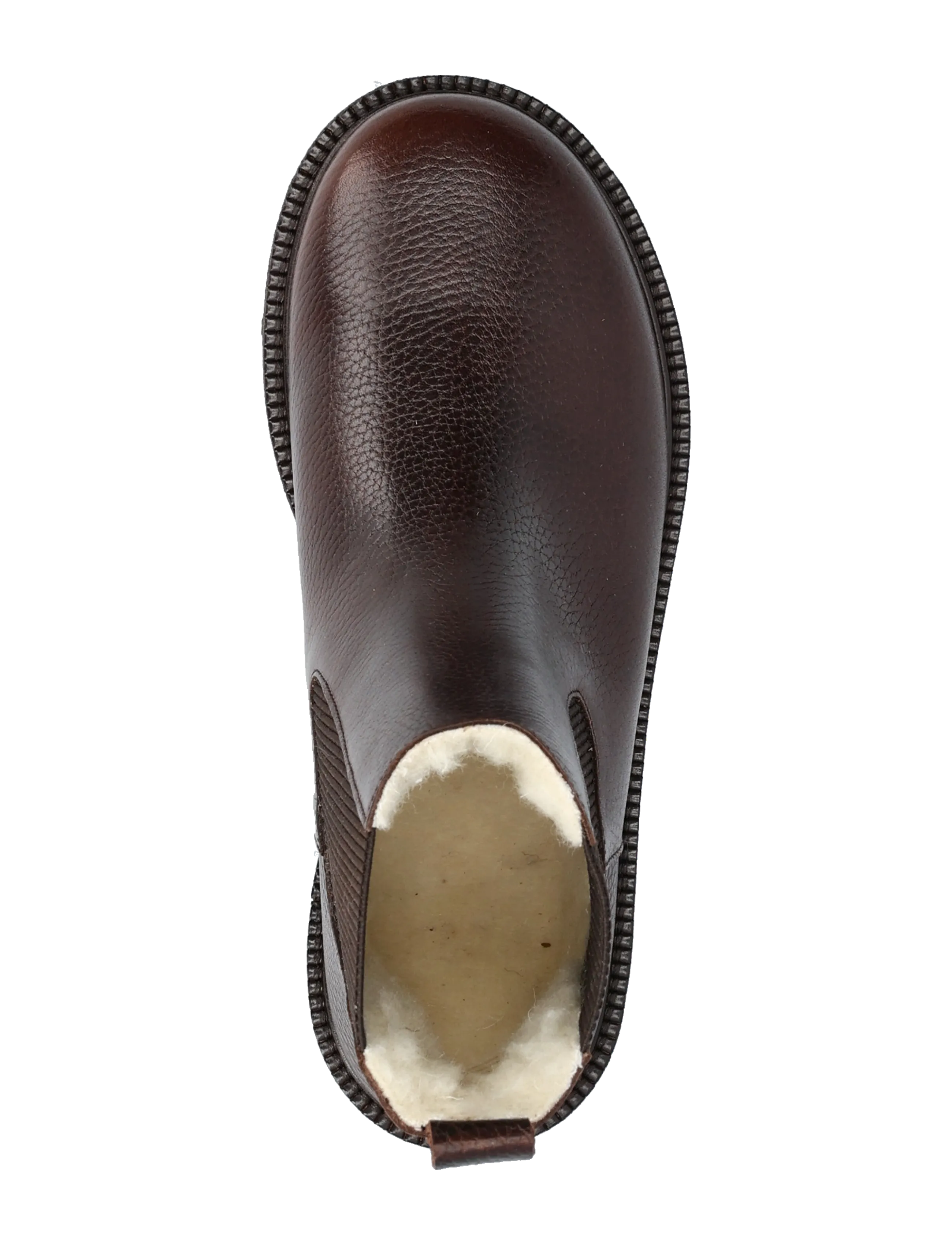 ANGULUS - Booties - flat - with elastic - chelsea-saapad - 2505/046 dark brown - 4