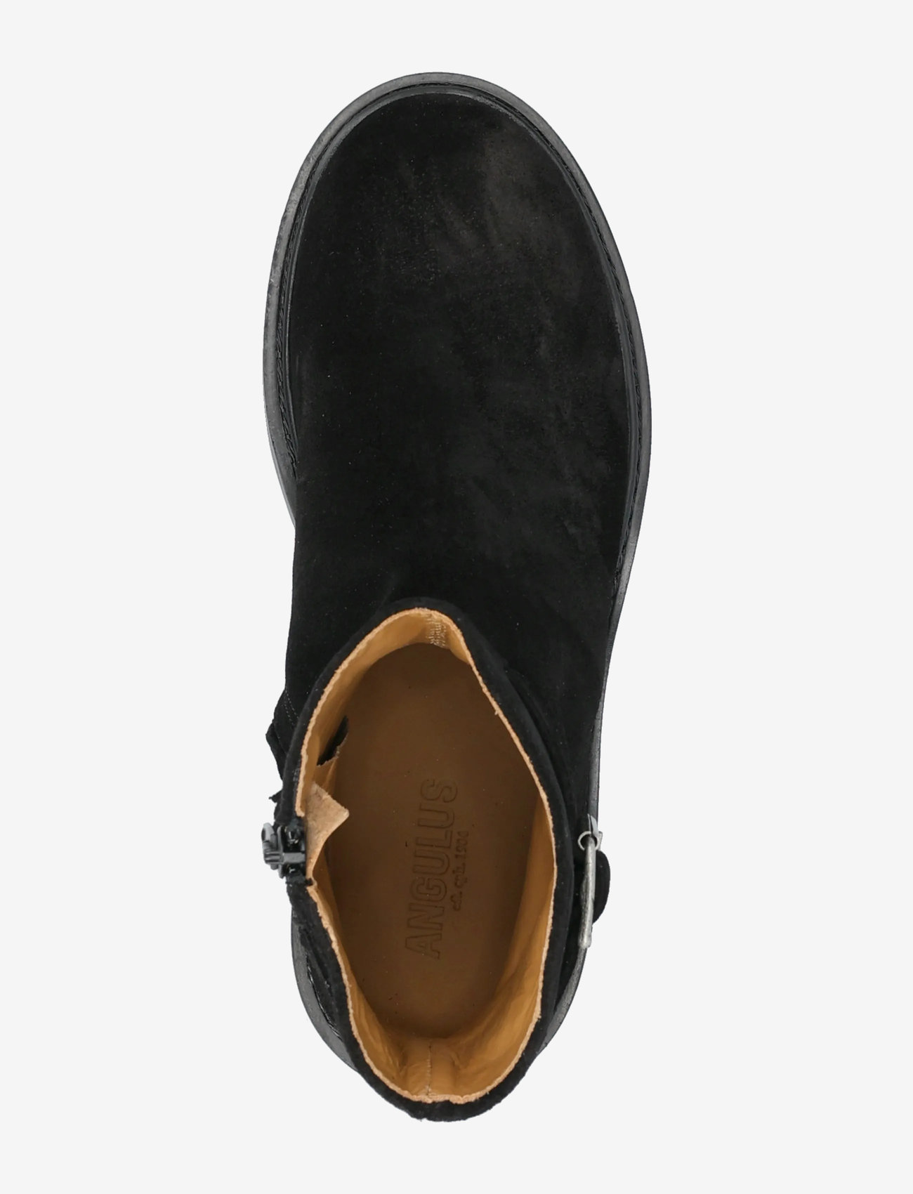 ANGULUS - Booties - flat - with zipper - flache stiefeletten - 1163 black - 3