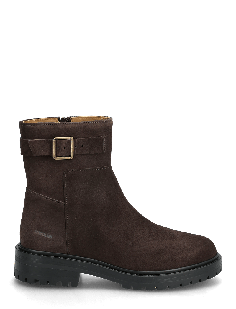 ANGULUS - Booties - flat - with zipper - bottines plates - 2193 dark brown - 1