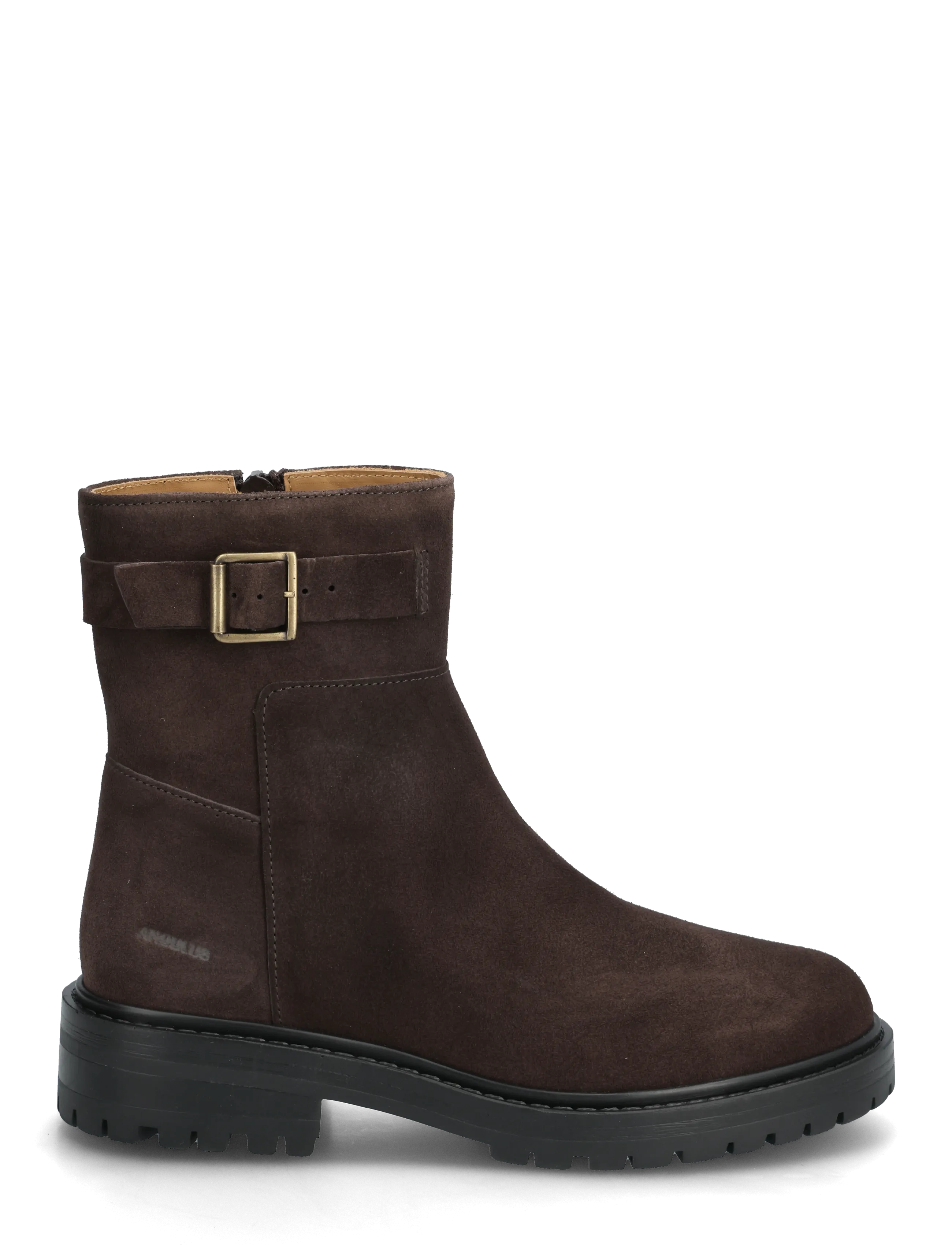 ANGULUS - Booties - flat - with zipper - flache stiefeletten - 2193 dark brown - 1