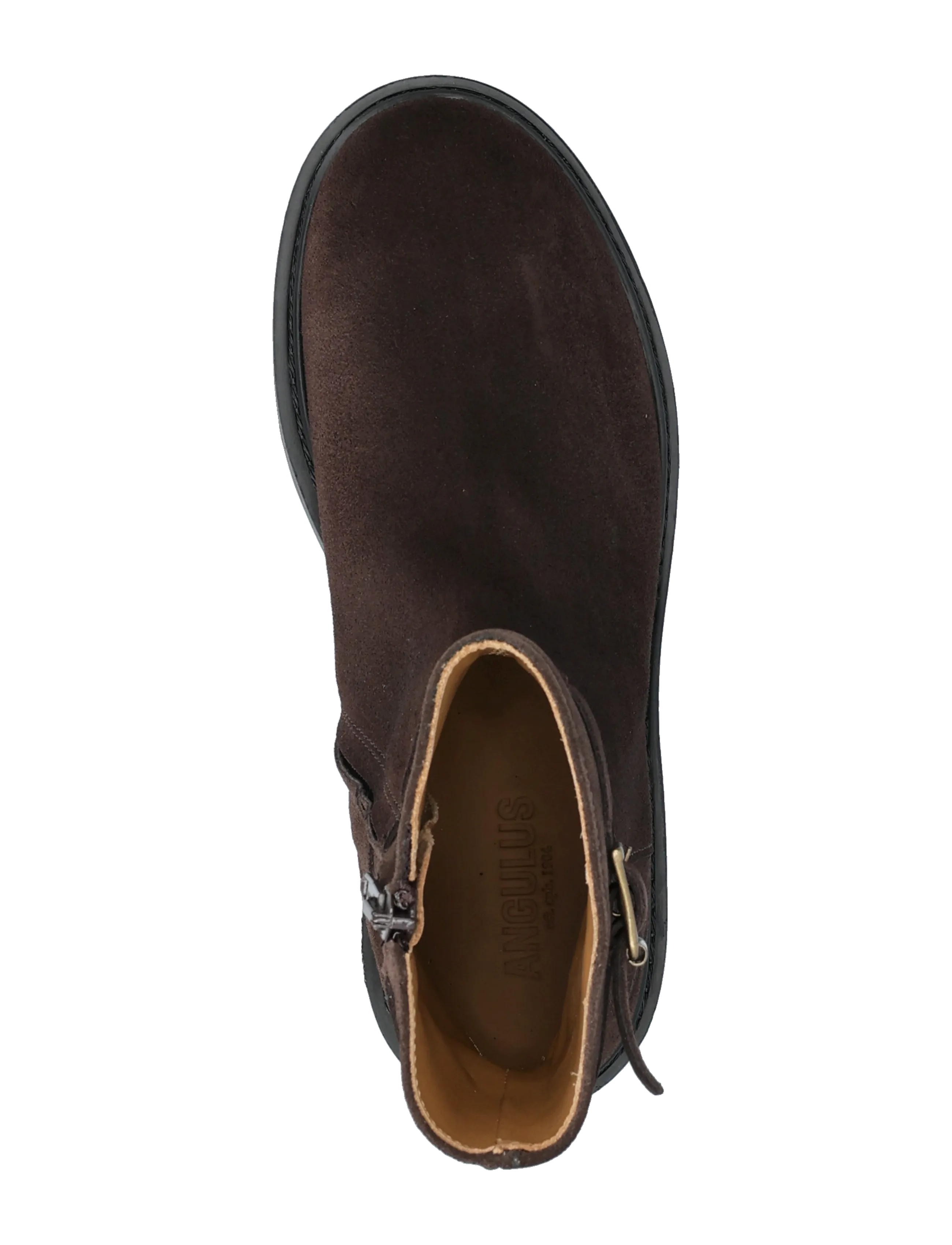 ANGULUS - Booties - flat - with zipper - flache stiefeletten - 2193 dark brown - 3