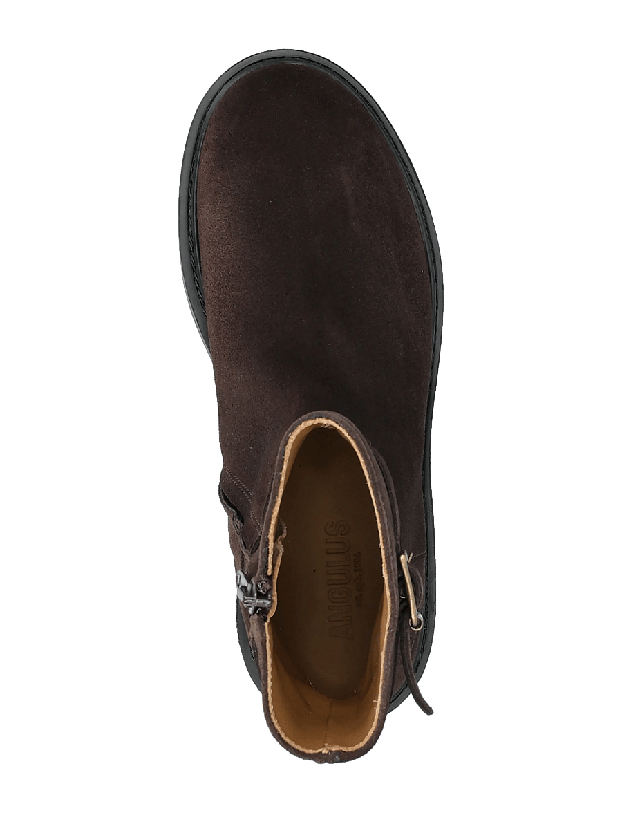 ANGULUS - Booties - flat - with zipper - platta ankelboots - 2193 dark brown - 3
