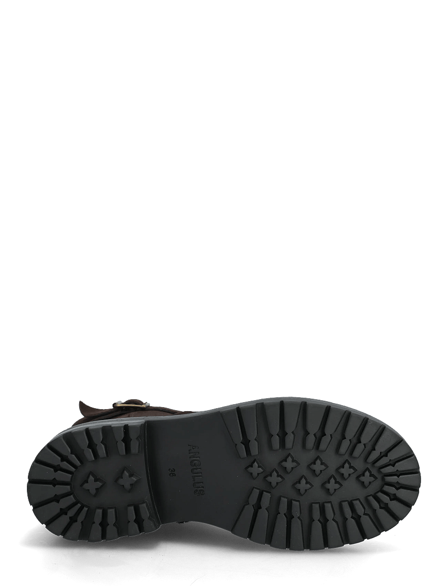 ANGULUS - Booties - flat - with zipper - platta ankelboots - 2193 dark brown - 4