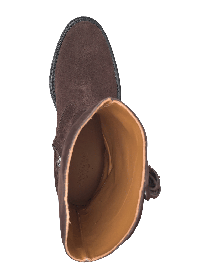 ANGULUS - Bootie - block heel - with zippe - cowboy boots - 2193 dark brown - 3