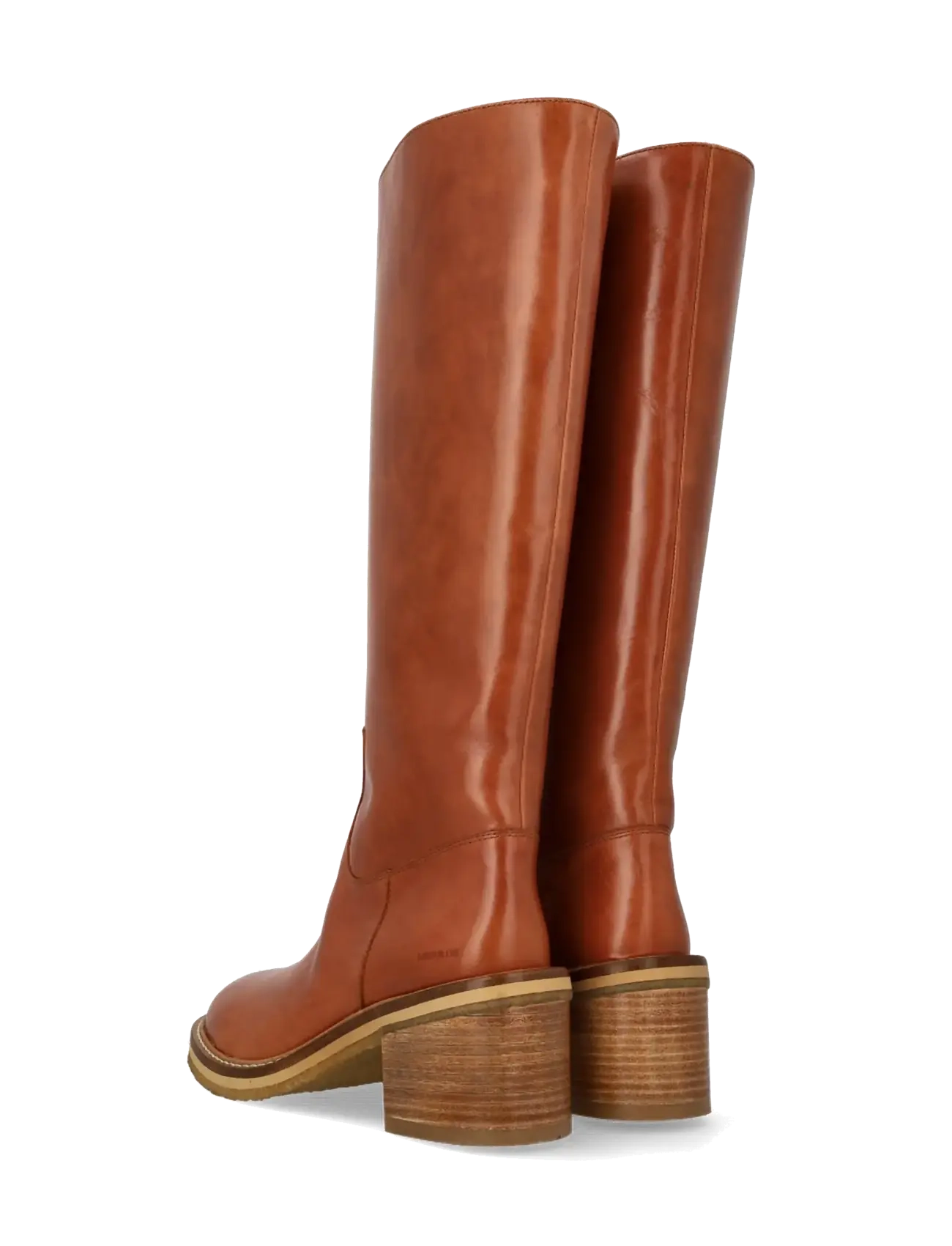 ANGULUS - Bootie - block heel - with zippe - 1838 cognac - 2