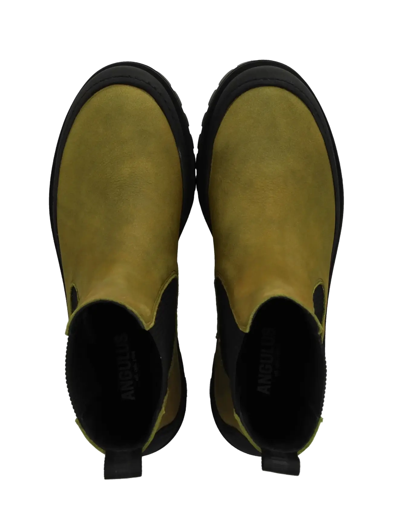 ANGULUS - Booties - flat - with elastic - flache stiefeletten - 4731/019 olive nobuk/black ela - 3