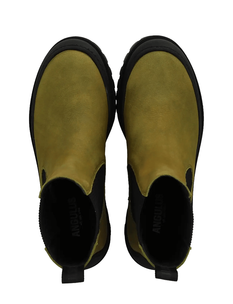 ANGULUS - Booties - flat - with elastic - flache stiefeletten - 4731/019 olive nobuk/black ela - 3